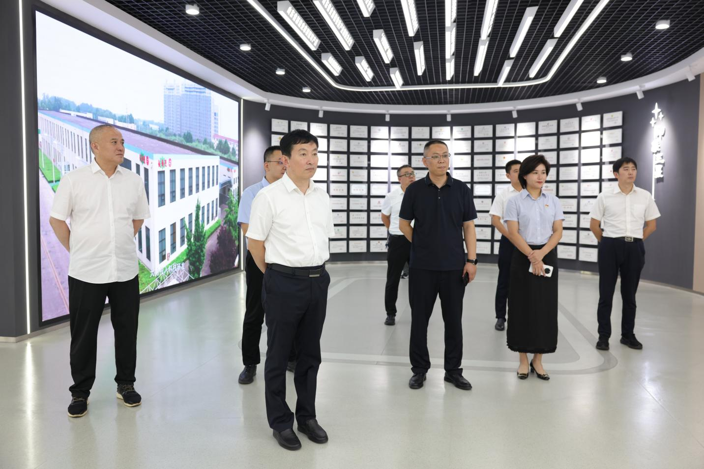 山东农担公司调研组来山东EBET易博网站集团调研