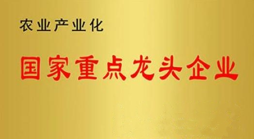 国家重点龙头企业！山东EBET易博网站集团连续上榜